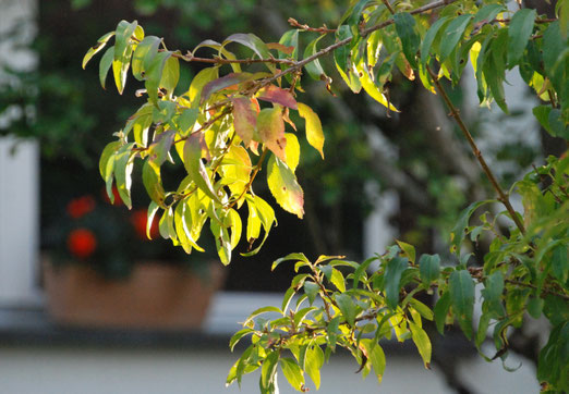 07. September 2025 - Herbst
