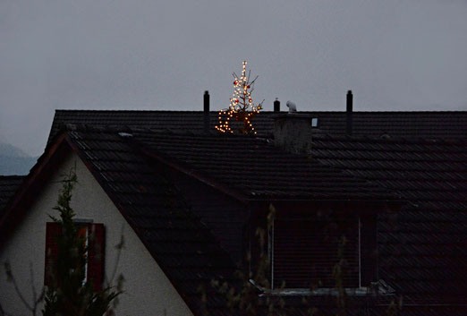 30. November 2014 - Erster Adventsonntag mit dem Christbaum der in den Himmel wächst.