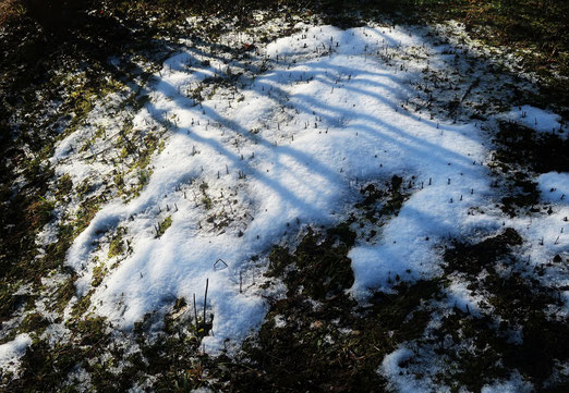 16. Januar 2019 -Zwei Tage nach dem "grossen Schnee".