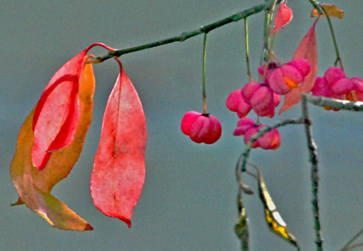 29. September 2025 - Es herbstet!