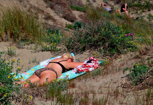 19. April 2025 - Es lockt der warme Sand zum ersten Sonnenbad