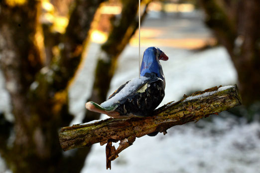 08. Januar 2019 - Er trotzt Regen, Schnee und Eis