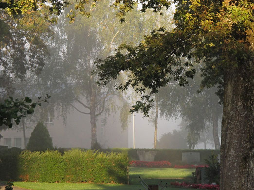 Nebel, Friedhof, Herbst