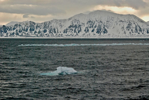 11. Mai 2024 - Ankunft in Spitzbergen am frühen Morgen. Eis im Meer.