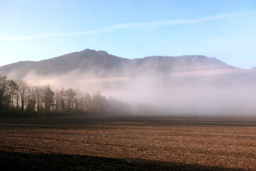 12. November 2021 - Die Sonne vertreibt den Nebel.