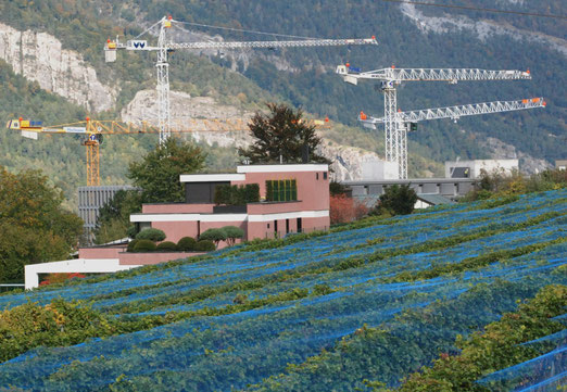 Bauen, Krane, Weinberg