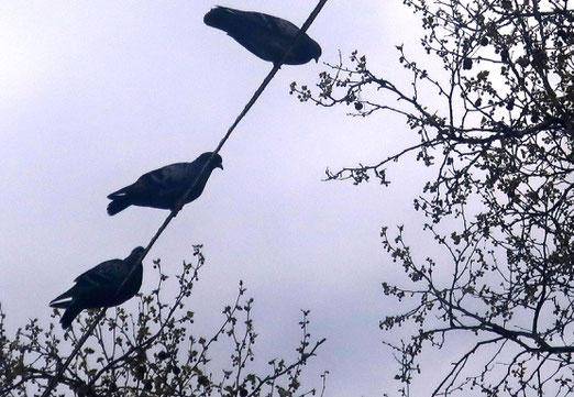 26. April 2023 - Drei laute Stadtbewohner, die das pulsierende Leben betrachten