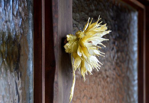 02. November 2020 - Blume, die nie oder immer blüht