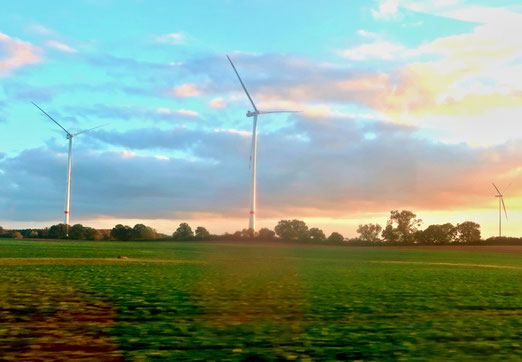 06. Oktober 2025 - „Wir können den Wind nicht ändern, aber die Segel anders setzen.“ Aristoteles (-384–-321 v.Chr)