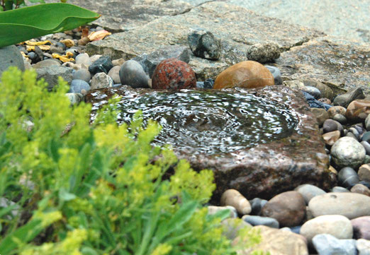 03. Juni 2024 - Faszination Wasser