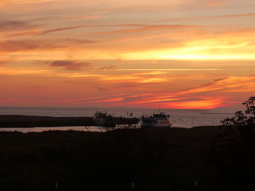 Auf der Insel Auf der Fischland-Darß-Zings an der Ostsee (Foto: Manfred Leicht)