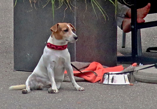  02. August 2021 - Während Muttchen pennt...