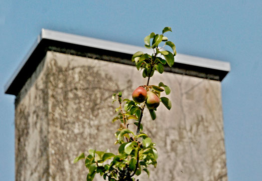 13. August 2025 -Wettstreit - hoch, höher, am höchsten