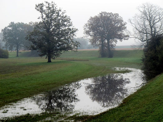 22. Oktober 2012 - Grüne Auen im Nebel