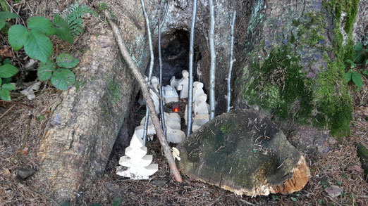 Anonymer Weihnachtsgruss im Wald  (Foto: Saskia Züllig)