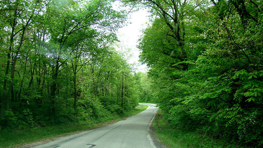 Diese schmale Strasse durch den wunderschönen Laubwald kann ja wohl unmöglich die Route 66 sein.