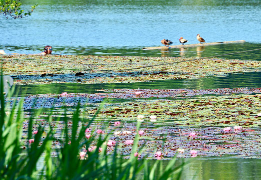  05. Juni 2019 - Annäherung