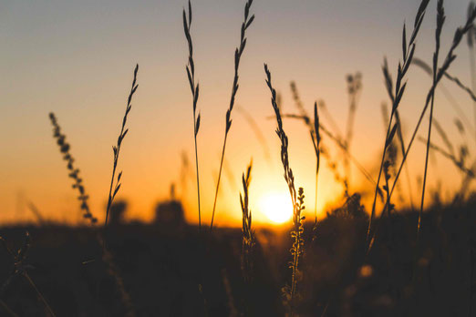 photo coucher de soleil
