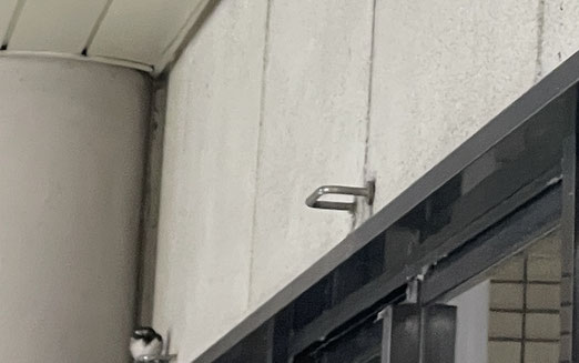 ツバメ