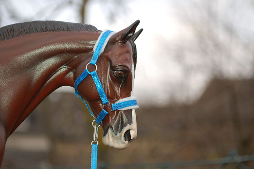 Nylonhalfter,weich unterlegt,royalblau