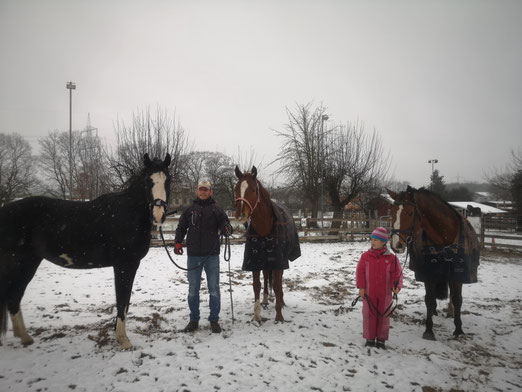 Zamira (ganz rechts) und Tochter Saphira und Sohn Cloud Lightning 