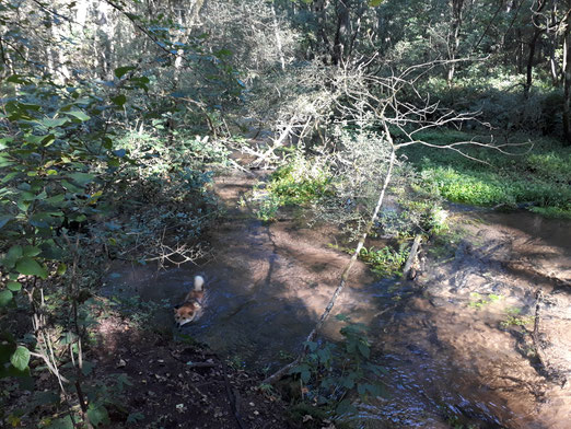 Mist das Wasser ist tiefer als gedacht