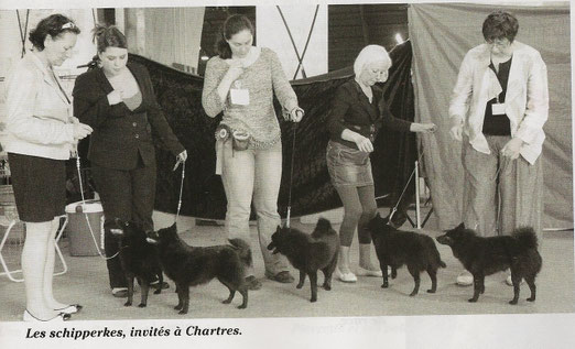 Horus dans la Revue Chiens 2000 du mois de Septembre 2013