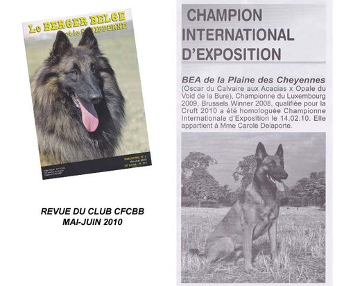 Article CFCBB
