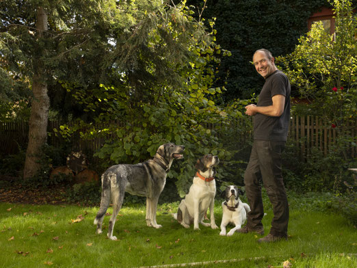 Angst vor Hunden | Hundebegegnung ohne Angst und Panik mit Sven Ihden