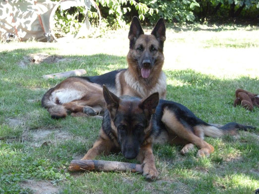 Flie vom Trienzbachtal und Cayenne von der kleinen Tanne