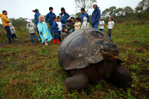 Un groupe d'enfants rend visite à une tortue géante, Photo: Christian Ziegler/GTMEP
