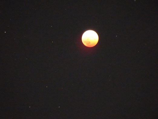 今の時期、星占いは天秤座なので満月は牡羊座あたり？