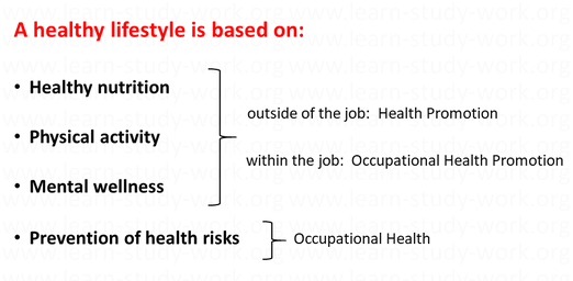What is a healthy lifestyle - Health Promotion - Occupational Health - www.learn-study-work.org