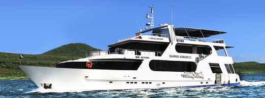 Tauchen auf Galapagos mit ECUADORline
