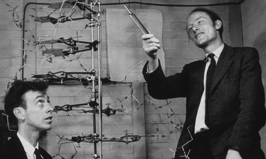 James Watson y Francis Crick junto a uno de sus modelos de la molécula del ADN en el Laboratorio Cavendish de Cambridge en 1953 / University of Cambridge