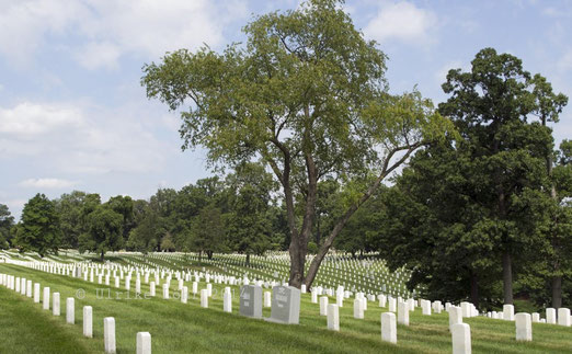 Arlington National Cemetery