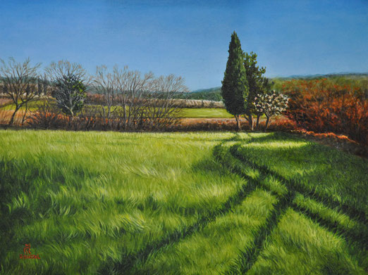 peinture-hyperrealisme-paysage-cypres-champ-ble-vert-ciel-bleu-uzes-roussel-meric