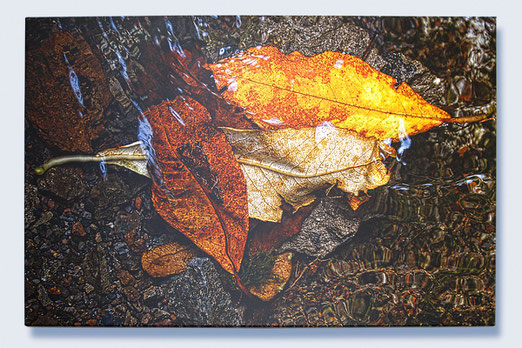 © Copyright by FOTOGRAFIK ARTIST