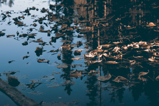 Self-reflection, kindness, US elections, peace, unite the country