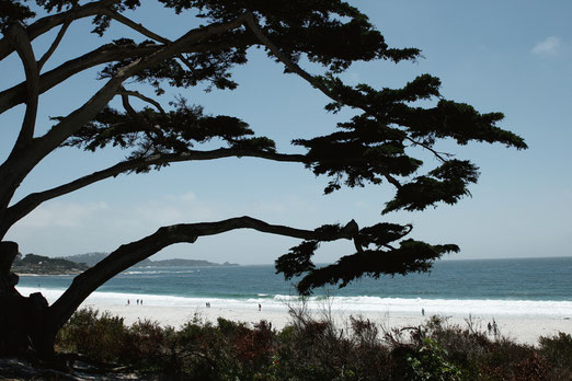 Carmel-by-the-Sea, Kalifornien, Roadtrip Highway 1, USA