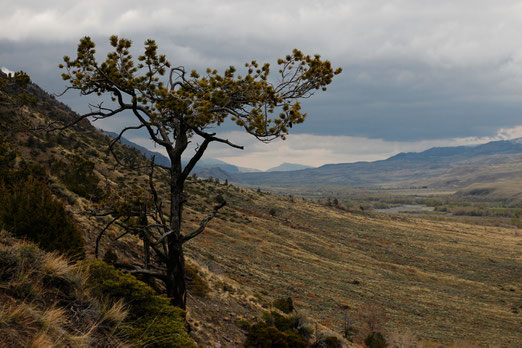 South Fork, Wyoming, USA, Nature, Landschaftsfotografie