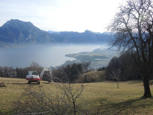 Herrliche Aussicht auf den Traunsee u. Traunstein