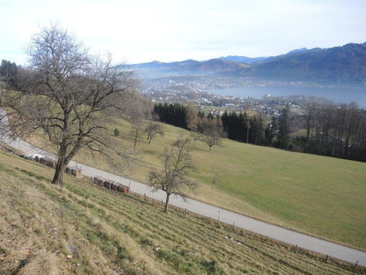 Traumblick auf Gmunden