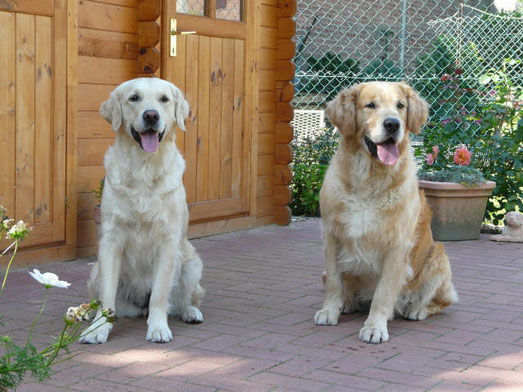 Wittgenstein's Golden Gilly's Revival Und Keke