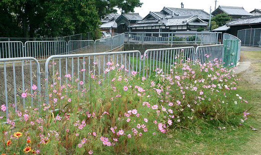 千里川沿いで・・