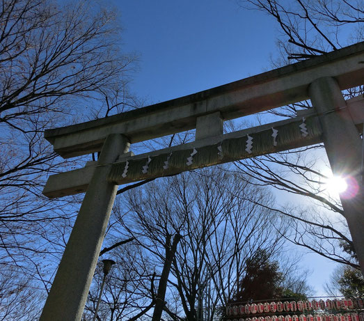 １月３日（2013）　新春の大國魂神社大鳥居（府中市）