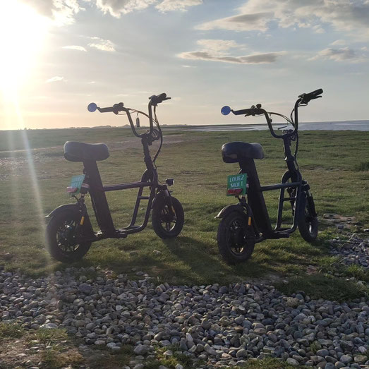 vélo à assistance électrique-vélo enfant-vélo adulte-vtt-fat bike-vélo tout terrain-véloroute-pistes cyclables-baie de somme-le hourdel-location vélo-electric bicycles-scooters-elektrofahrräd-elektroroller-elektrische fiets-elektrische step