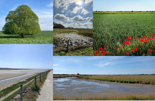 vélo à assistance électrique-vélo enfant-vélo adulte-vtt-fat bike-vélo tout terrain-véloroute-pistes cyclables-baie de somme-le hourdel-location vélo-electric bicycles-scooters-elektrofahrräd-elektroroller-elektrische fiets-elektrische step