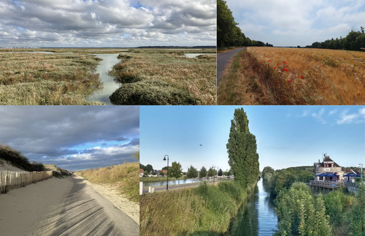 vélo à assistance électrique-vélo enfant-vélo adulte-vtt-fat bike-vélo tout terrain-véloroute-pistes cyclables-baie de somme-le hourdel-location vélo-electric bicycles-scooters-elektrofahrräd-elektroroller-elektrische fiets-elektrische step