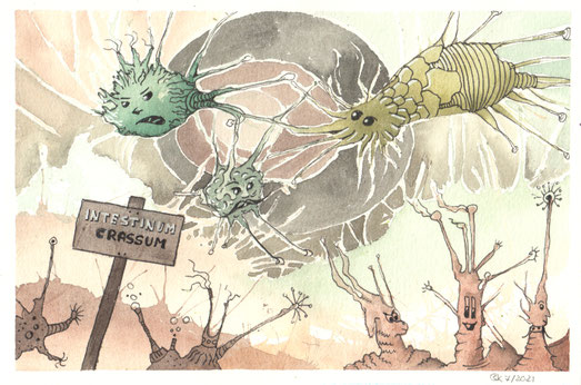 Aquarellbild "Intestinum crassum": Illustrierte Darmbakterien